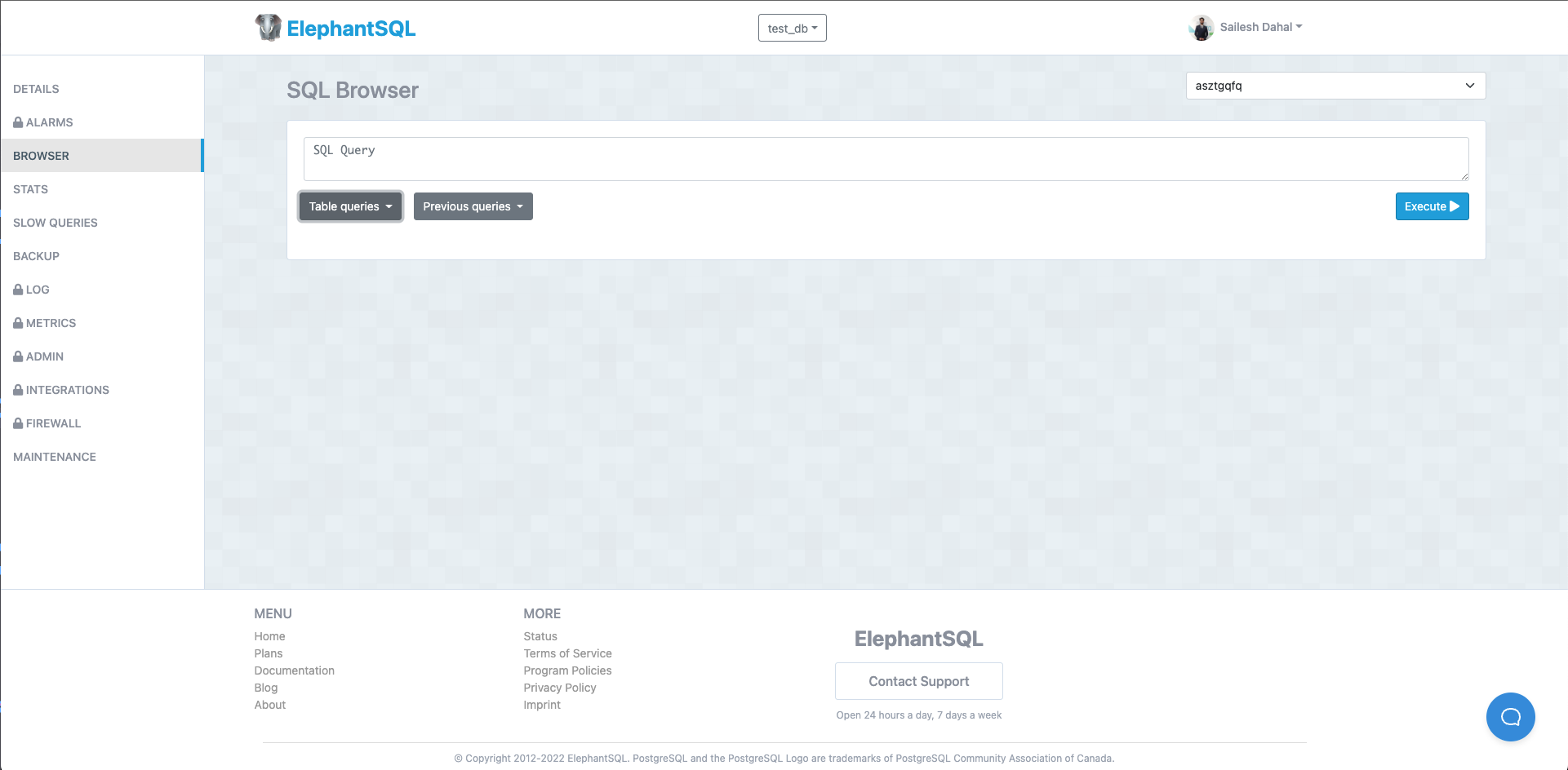 Elephant SQL Query Execution